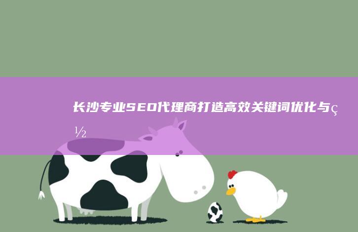 长沙专业SEO代理商：打造高效关键词优化与网站推广服务